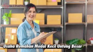 Usaha Rumahan Modal Kecil Untung Besar