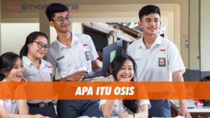 apa itu osis